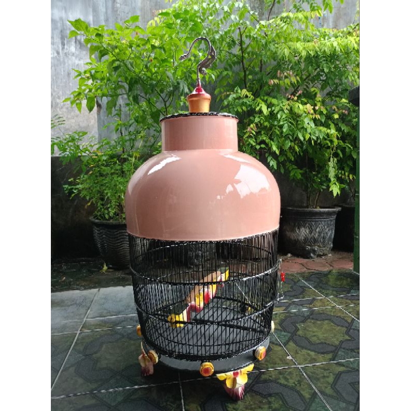 SANGKAR PERKUTUT TENONGAN SUPER