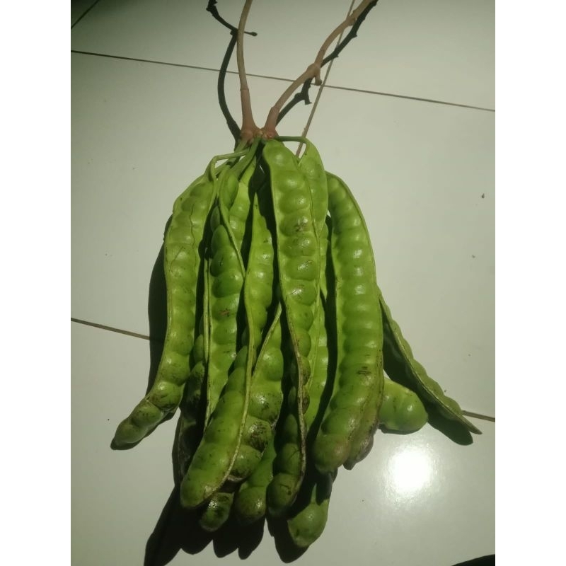 

Pete Super Segar Khas Jampang Surade