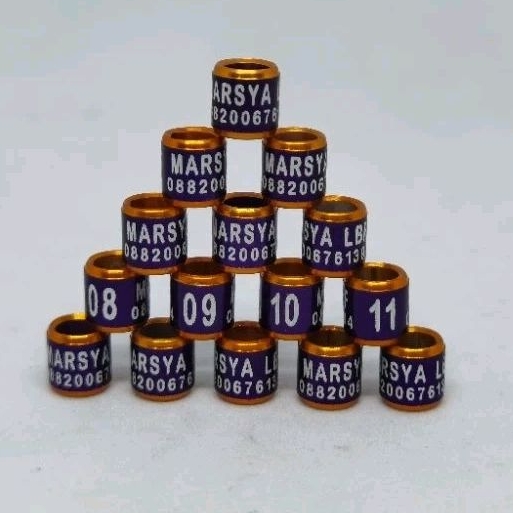 RING KONIN PLECI FINCH ZEBRA BLACKTROAT SANGER GOLD AMADINE CETAK