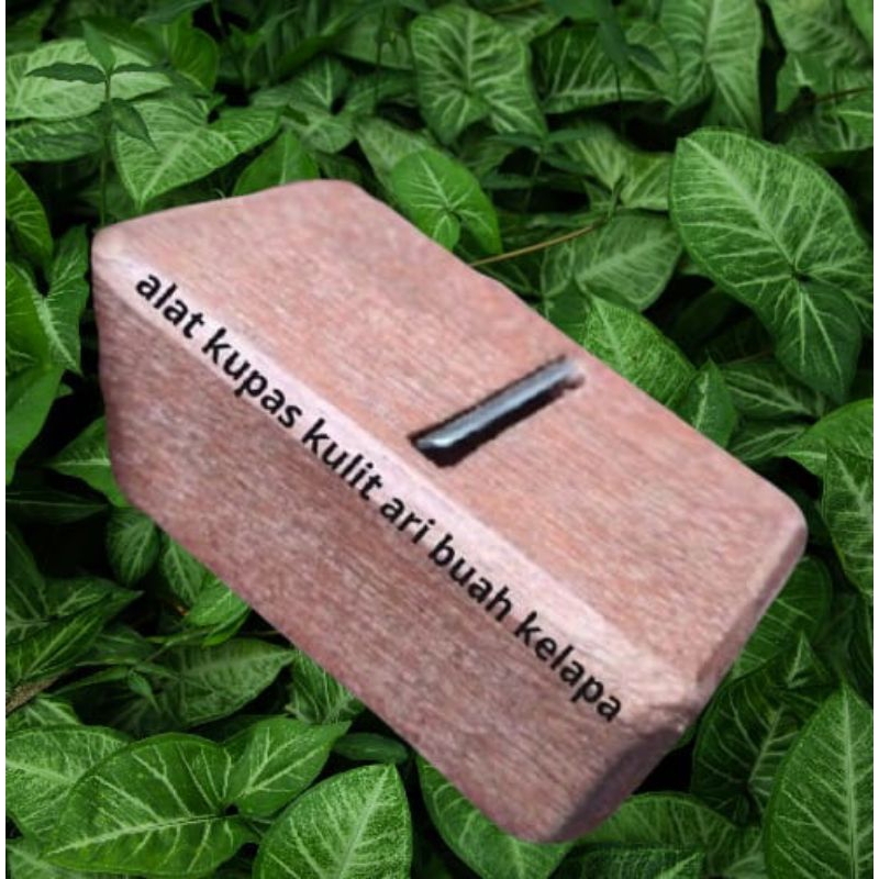 Alat kupas kulit ari buah kelapa / pengupas kulit ari kelapa