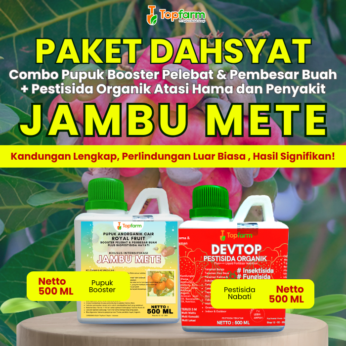 Pupuk Topfarm / Pestisida Topfarm / Pupuk Buah Jambu Mete Berbuah Lebat / Pupuk Buah Jambu Mete Supe