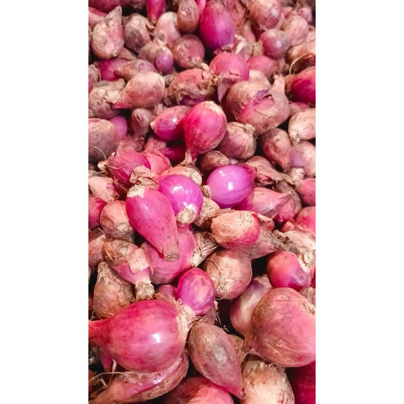 

bawang merah 1kg ukuran tanggung besar campur