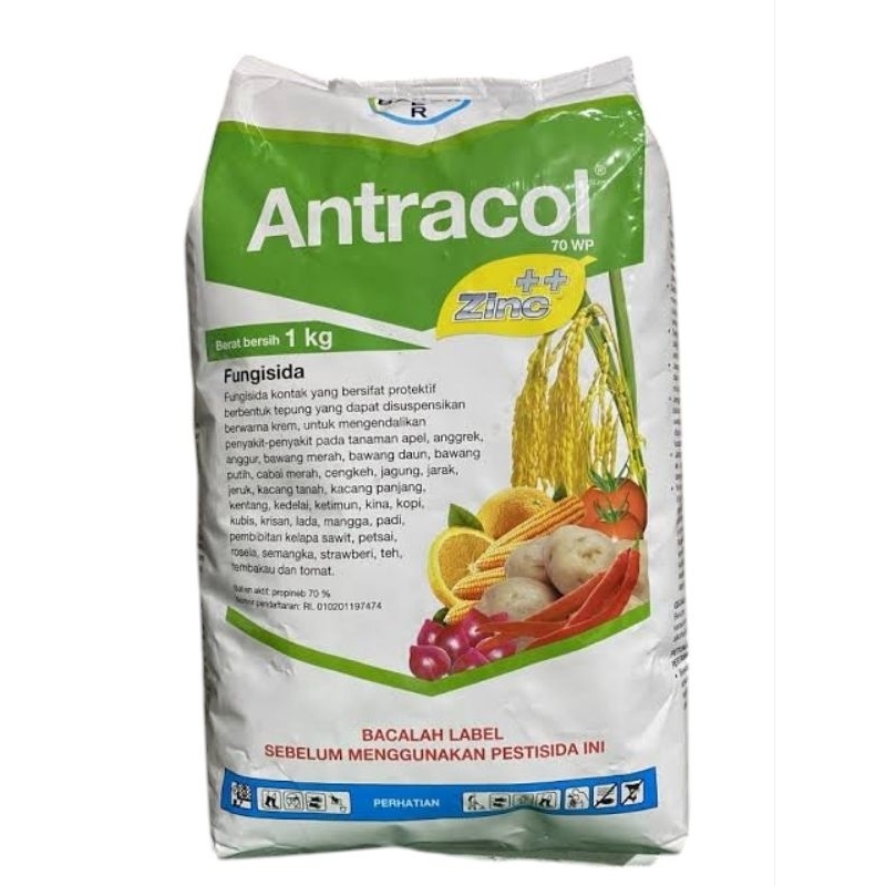 ANTRACOL 70WP 1KG