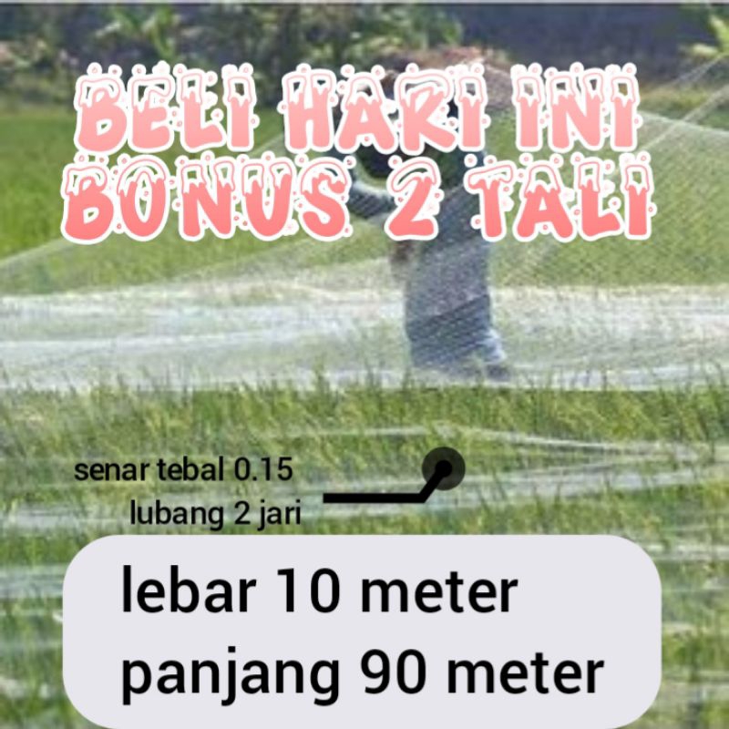 JARING JUMBO JARING SAWAH JARING PADI LEBAR 10 METER PANJANG ±90 METER BONUS 2 TALI TERMURAH JARING 