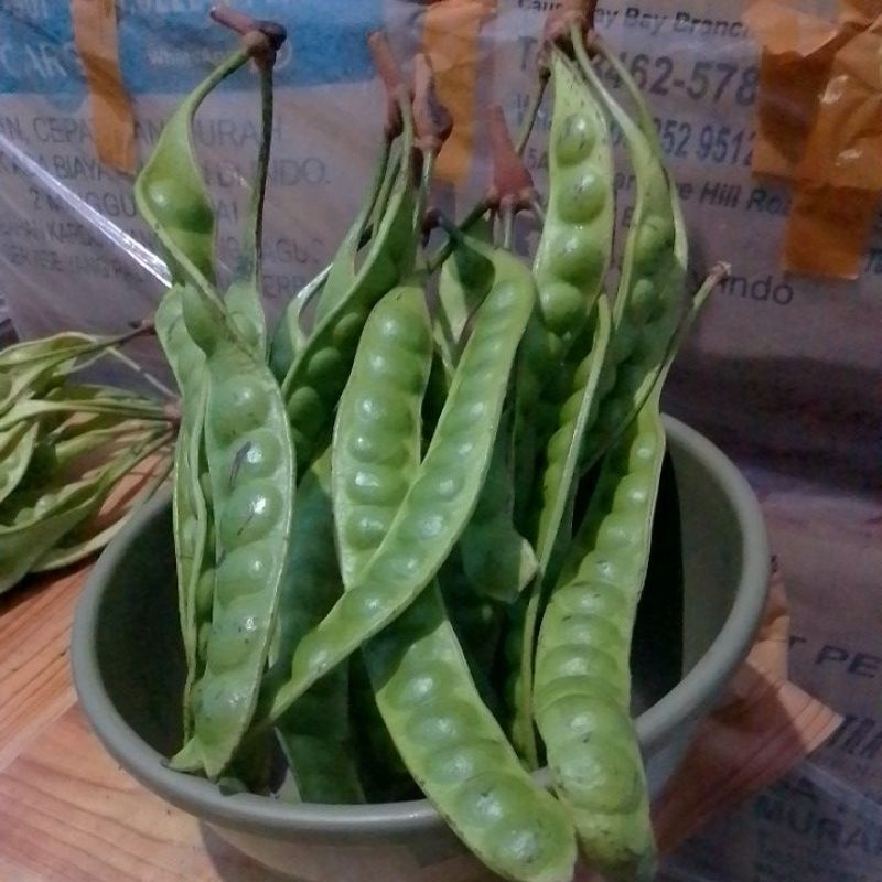 

Petai Lalapan Pete Tua