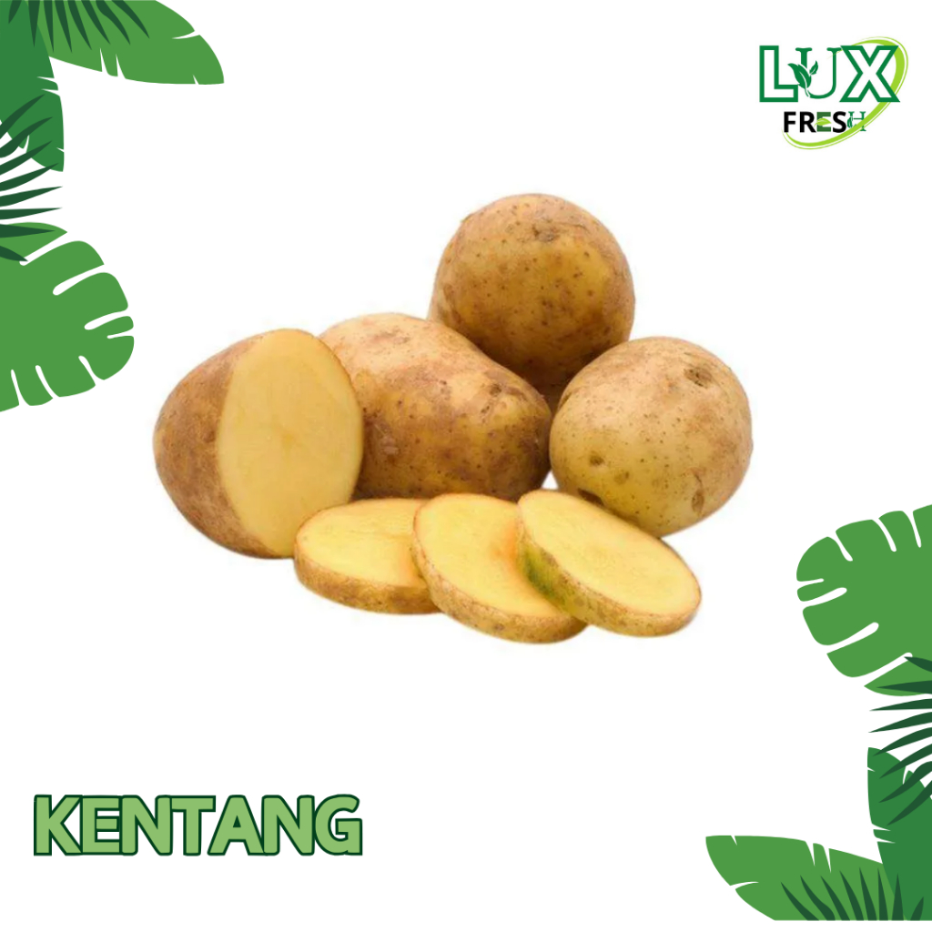 

KENTANG FRESH BEST QUALITY