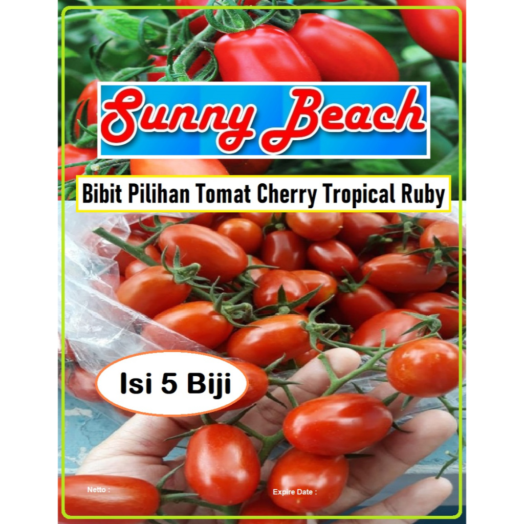 Bibit Pilihan Tomat Cherry Tropical Ruby | Biji Benih Tomat Cherry Tropical Ruby
