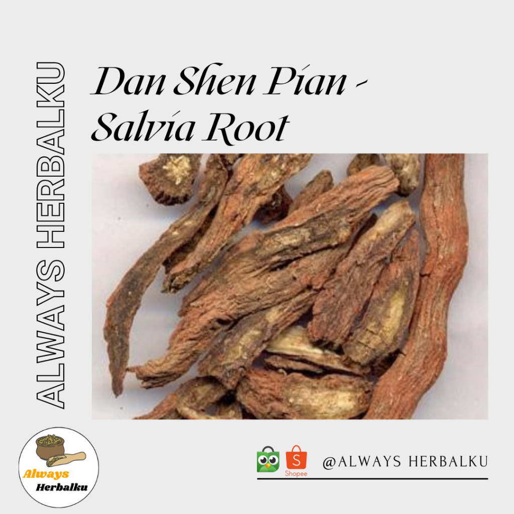 

Dan shen pian / dan shen / salvia merah / Salvia miltiorrhiza (100gr)