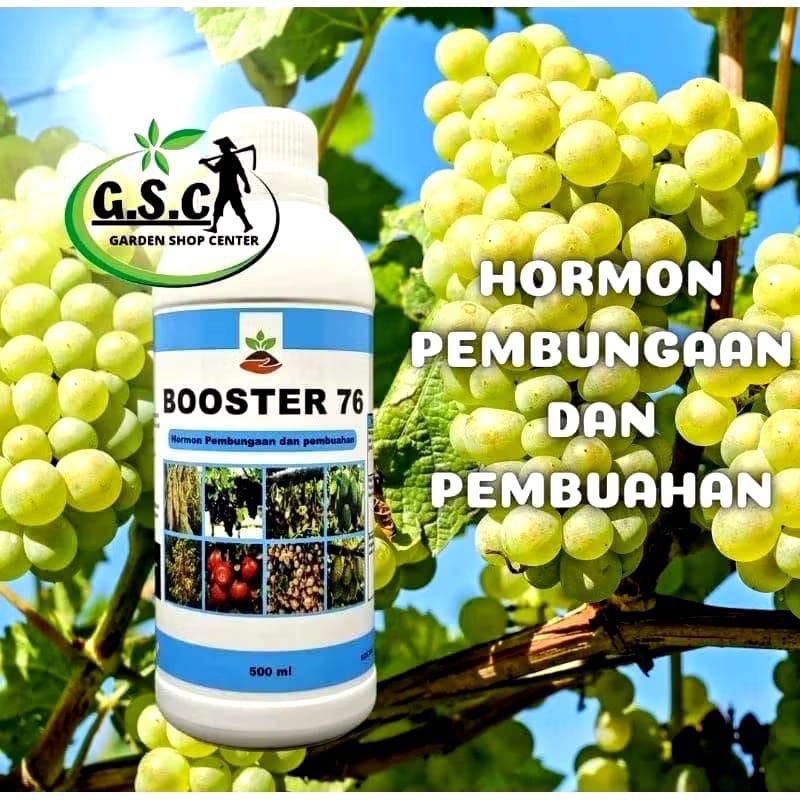 booster76 hormon pembuahan dan pembungaan