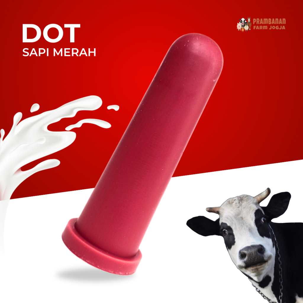 Dot Sapi Pedet Dot Susu untuk Pedet Anak Sapi dll