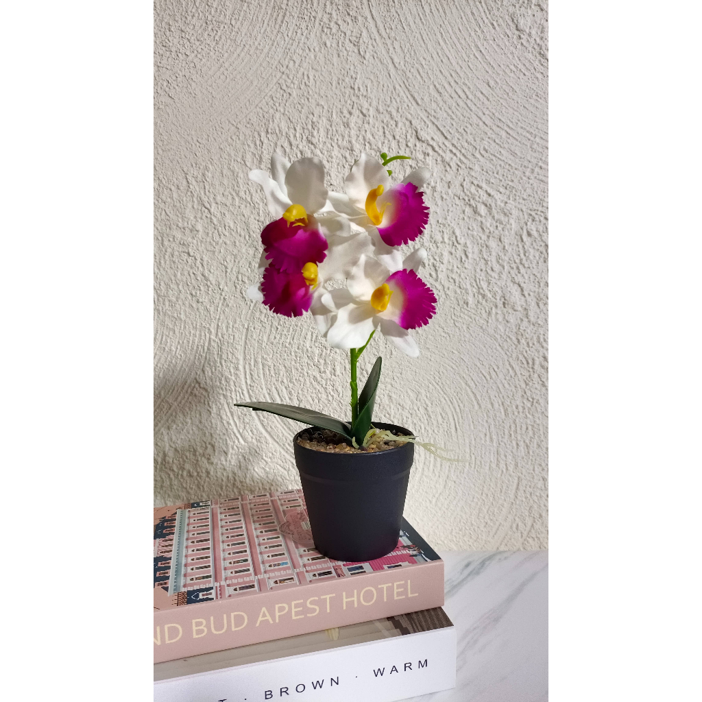 CEILO FLORIST Bunga Anggrek Dendrobium | Bunga Anggrek Hias Pot Plastik Real Touch Artificial | Bung