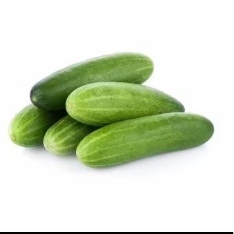 

Timun Fresh Segar