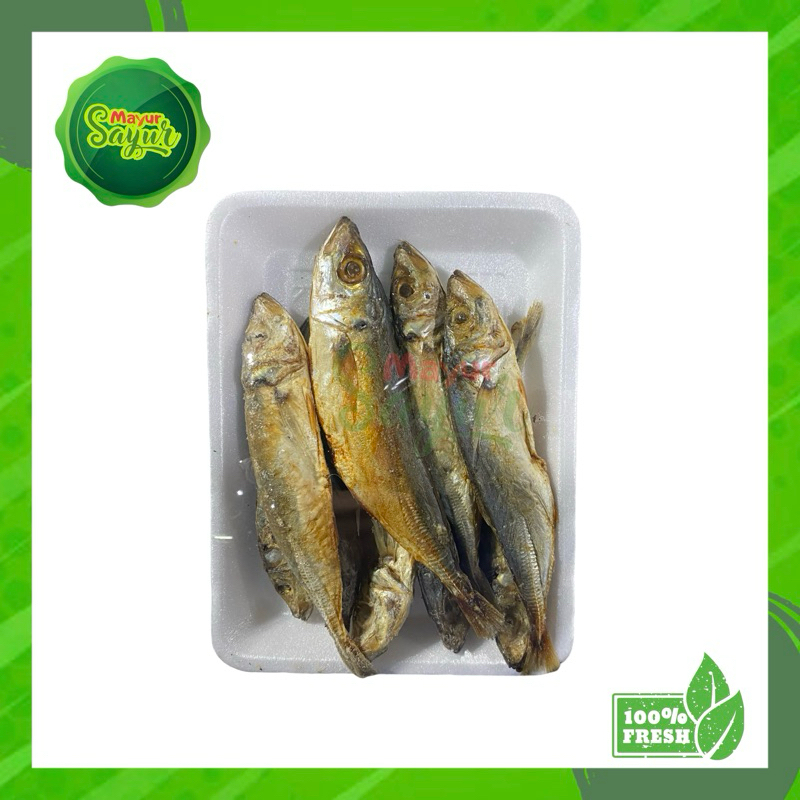 

KIRIM INSTAN Ikan Asin Pindang / Layang / Lajang / Per Pack