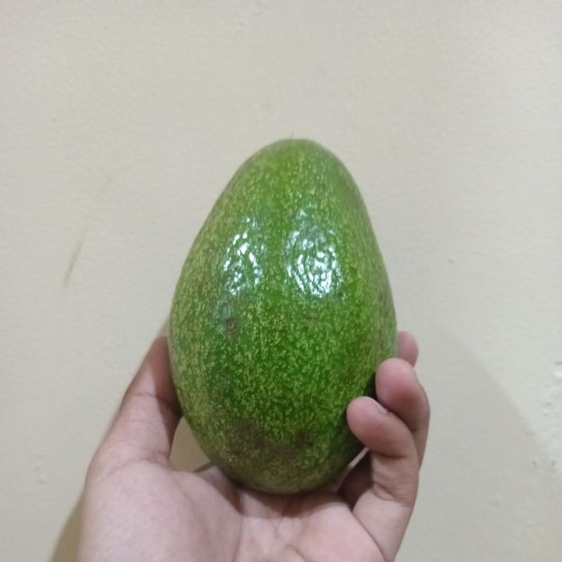 

alpuketsuper1kgisi(2atau3)