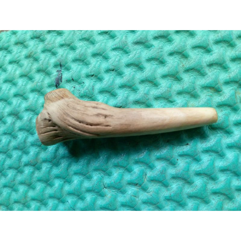 viva once canglonh kayu tlogosari random