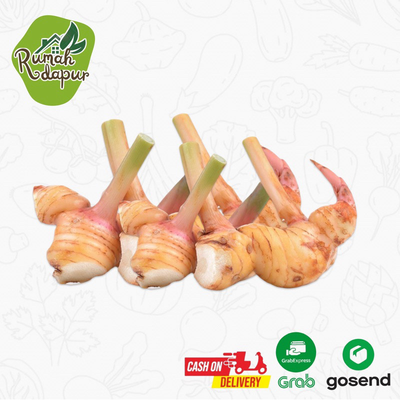 

LENGKUAS / LAOS SEGAR / BUMBU DAPUR