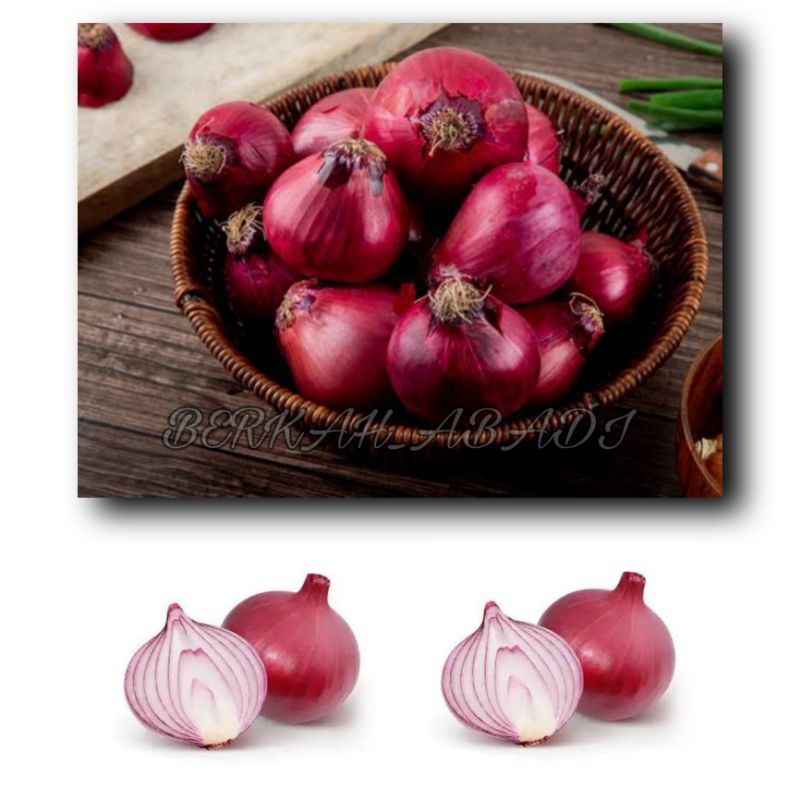 

TERMURAH - BAWANG MERAH BREBES SUPER & BESAR BERKUALITAS /BAWANG MERAH TERLARIS / BAWANG MERAH BERKUALITAS / BUMBU-BUMBU DAPUR REMPAH / BAWANG MERAH /SAYUR-SAYURAN /BUMBU-BUMBU DAPUR