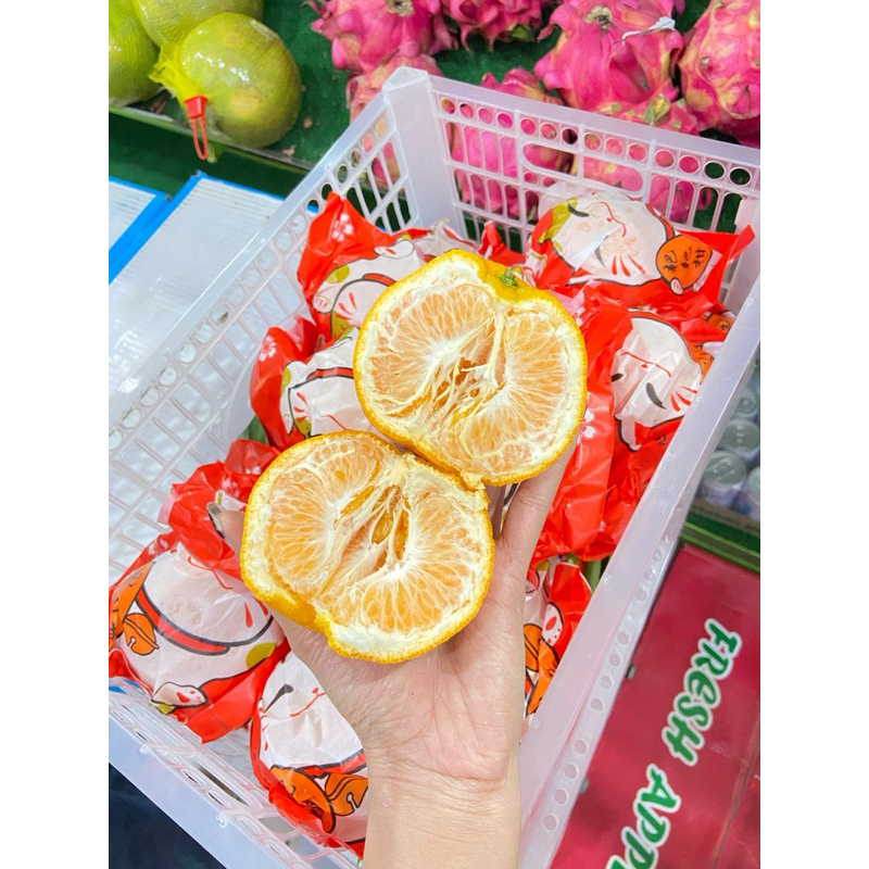 

jeruk papagan jeruk papakam dekopon berat 900-1000 g