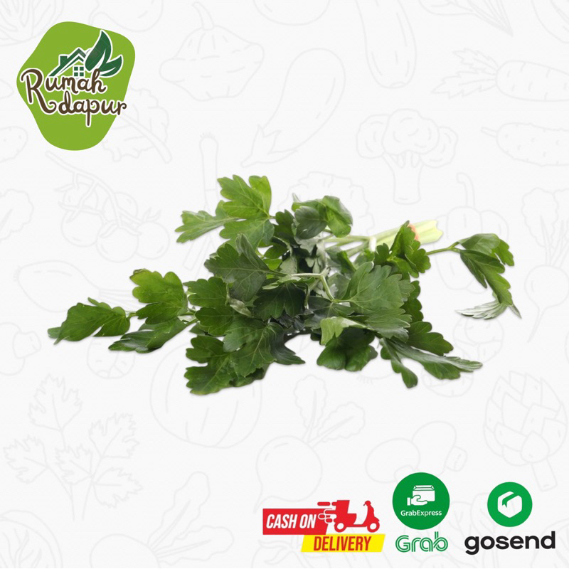 

DAUN SOP / SELEDRI PER IKAT