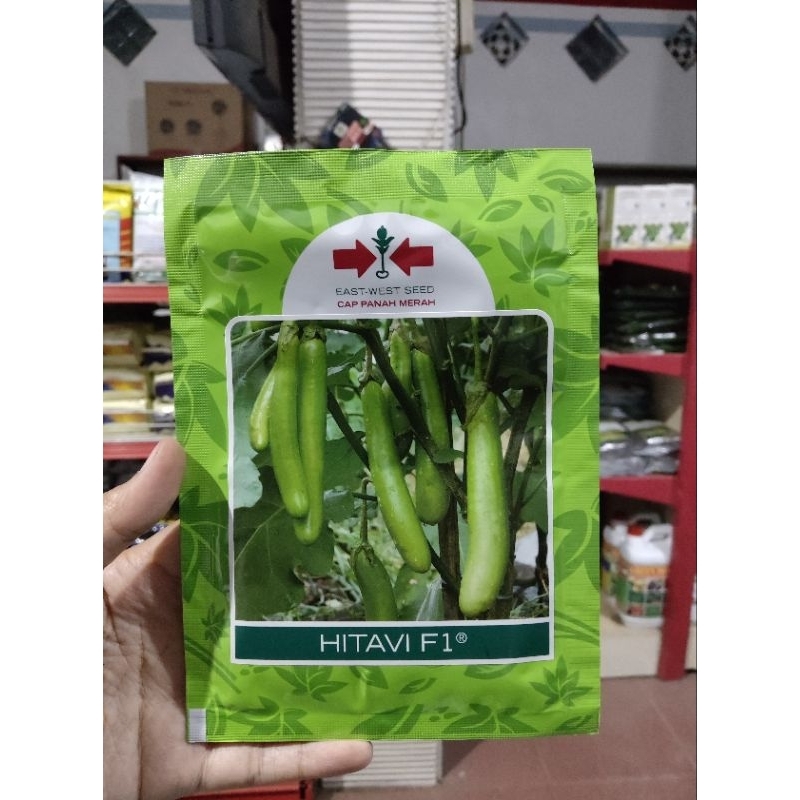 bibit benih terong hijau hitavi F1 cap panah merah