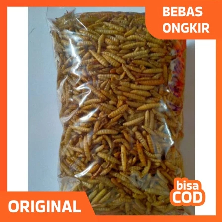 Manggot Kering Pakan Ikan Predator Louhan Channa Arwana 50 gr,100 gr Bsf Manggot