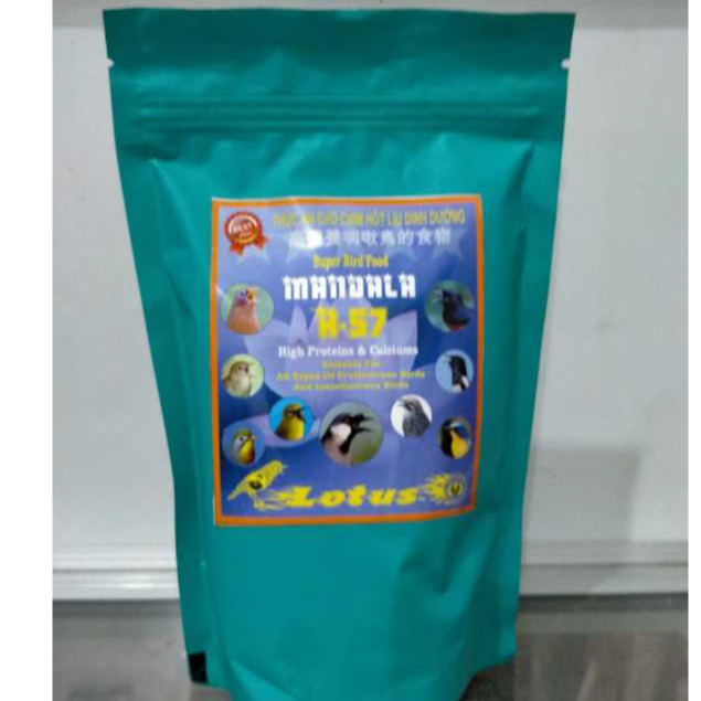 VOER LOTUS MANDALA BLUE VOER TINGGI PROTEIN UNTUK MURAI BATU KACER WAMBEI POKSAY