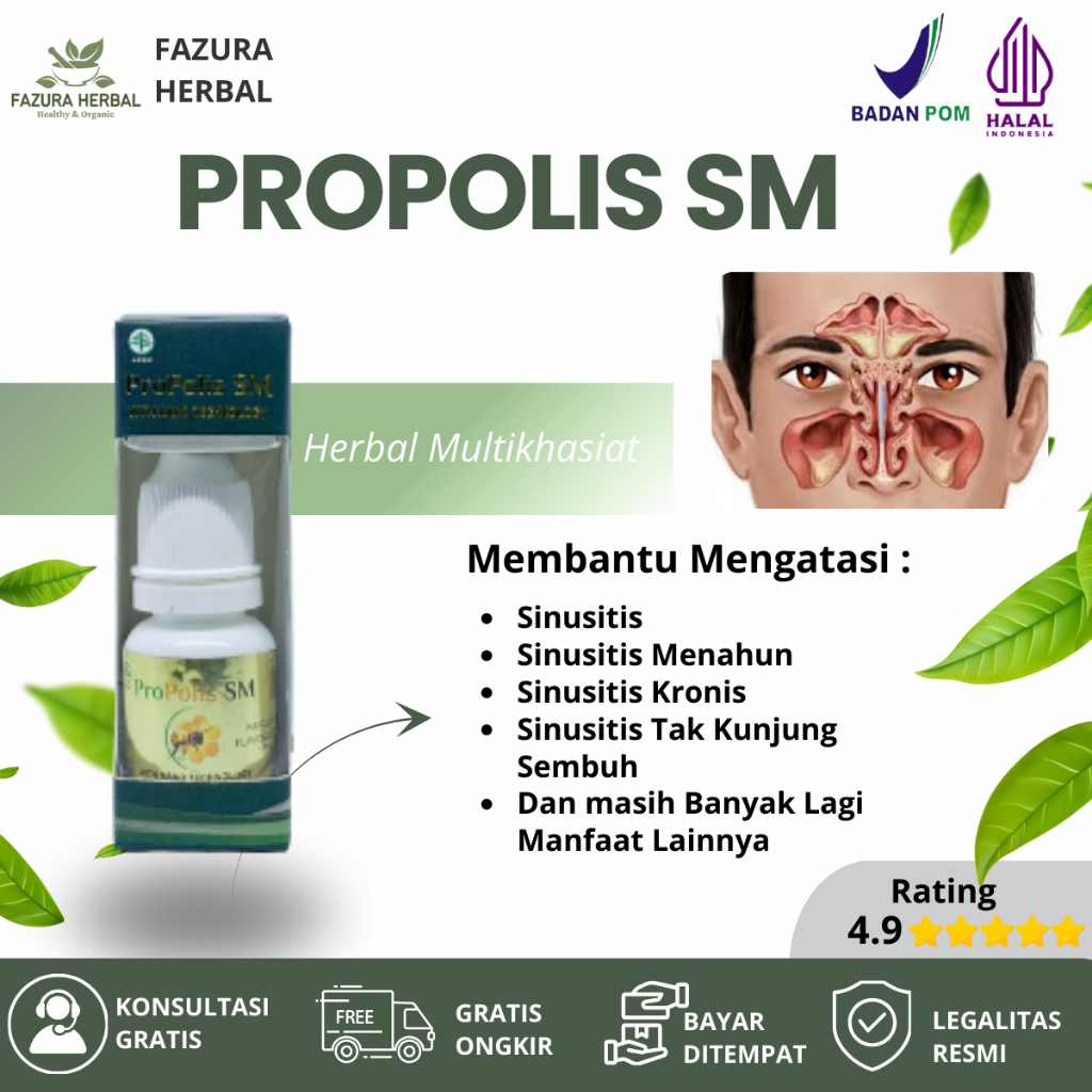 Propolis SM - Obat Sinusitis, Obat Sinusitis Menahun, Obat Sinusitis Kronis, Obat Sinusitis Tak Kunj