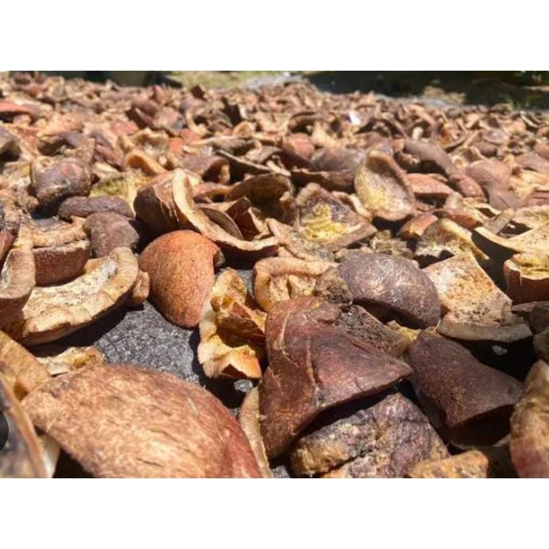 

Kopra Kelapa Tua Kering 1 Kg Murah Obat Herbal Minyak Asli