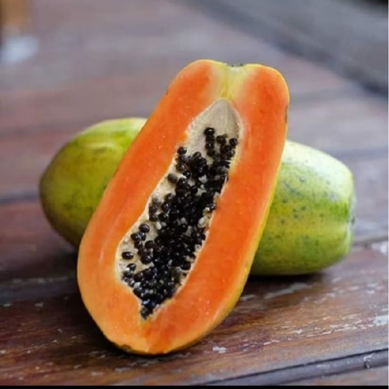 BIJI PEPAYA CALIFORNIA F1 CALINA IPB BIBIT UNGGUL