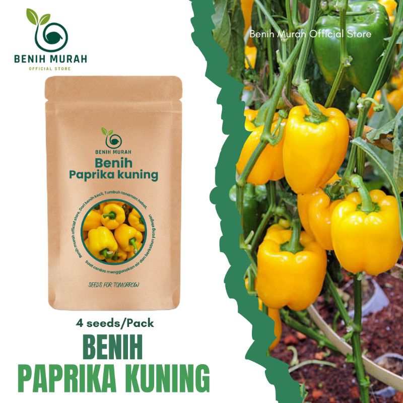 

Benih Sayur Paprika Kuning Unggul Biji Paprika Kuning Atau Yellow Paprika Seed