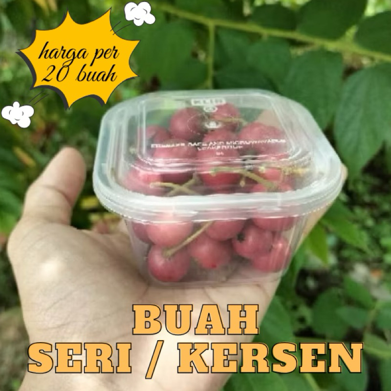 

Buah seri / buah kersen / buah talok segar 100% organik per 20buah