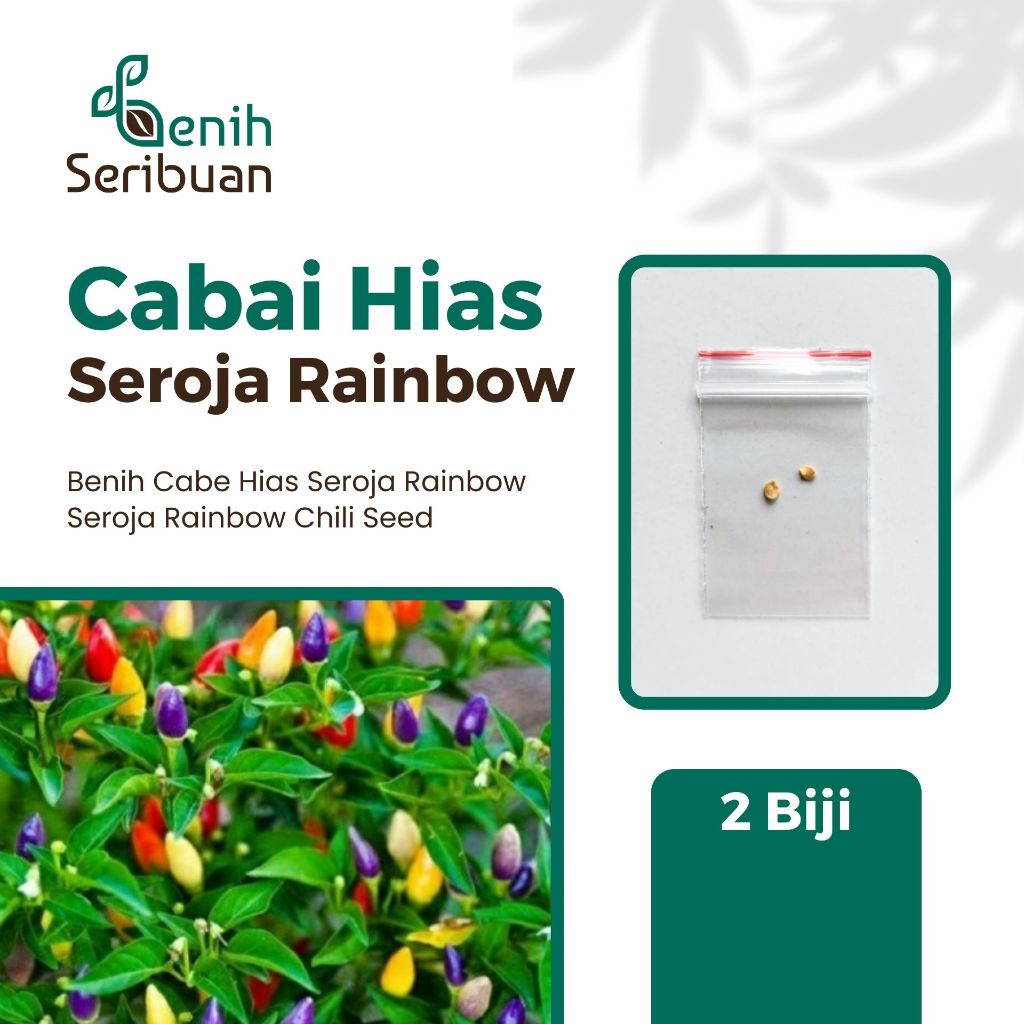 Benih Cabai Hias Seroja Rainbow untuk Pertanian Rumahan - 2 Benih, Cabai Hias