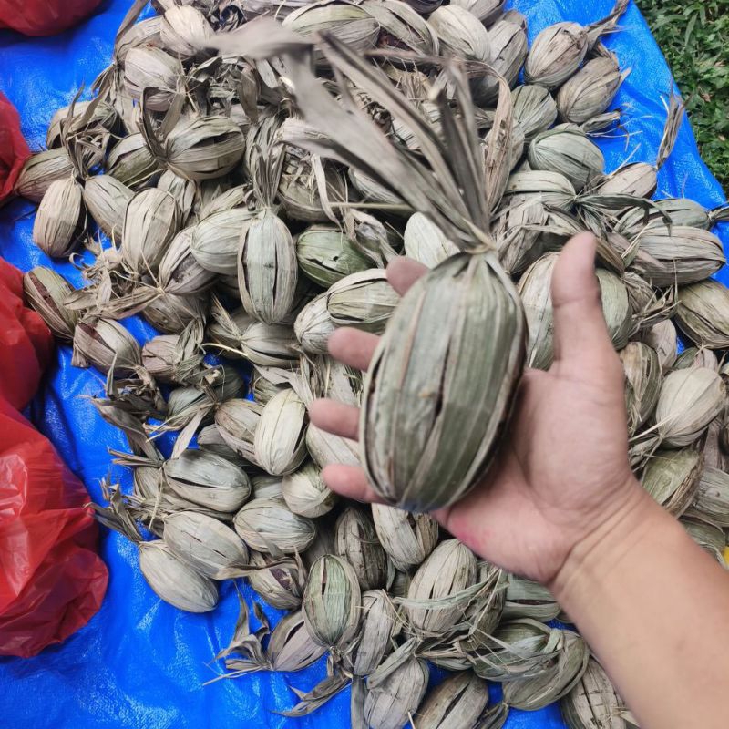 

Gula Aren Asli Bogor