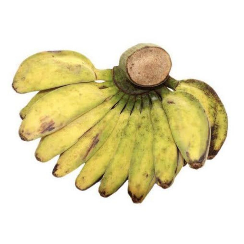 

Pisang Kepok / Pisang Manurun