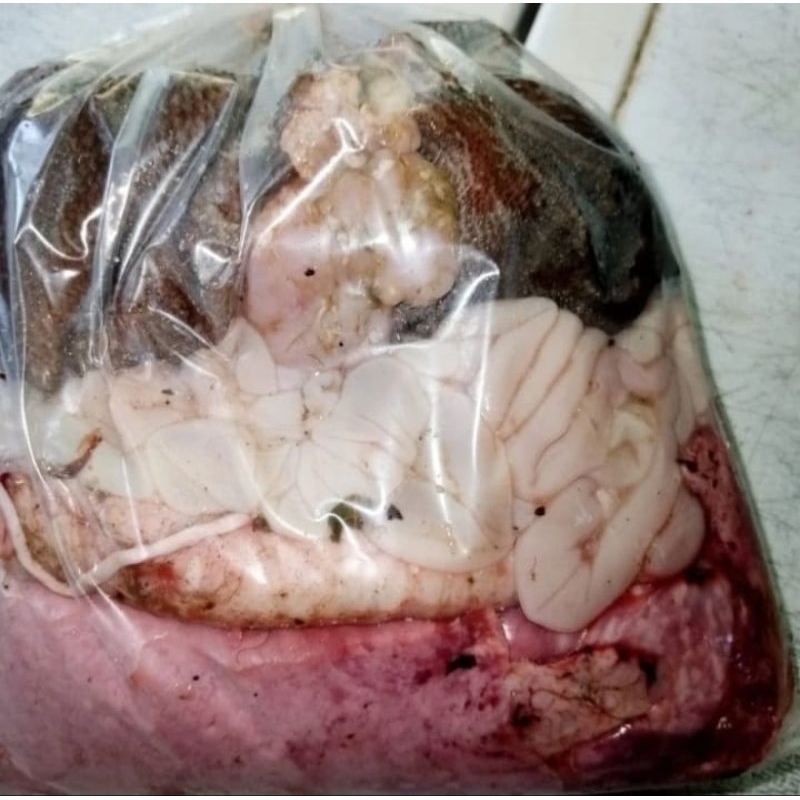 

jeroankambingsegarbeku1kilobersihsiapmasak