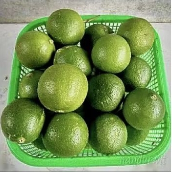 

Jeruk Nipis Lime 200gr
