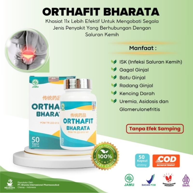 Orthafit Bharata Obat Gagal Ginjal Paling Ampuh Tuntaskan Ginjal Kronis Batu Ginjal Akut Ginjal Boco
