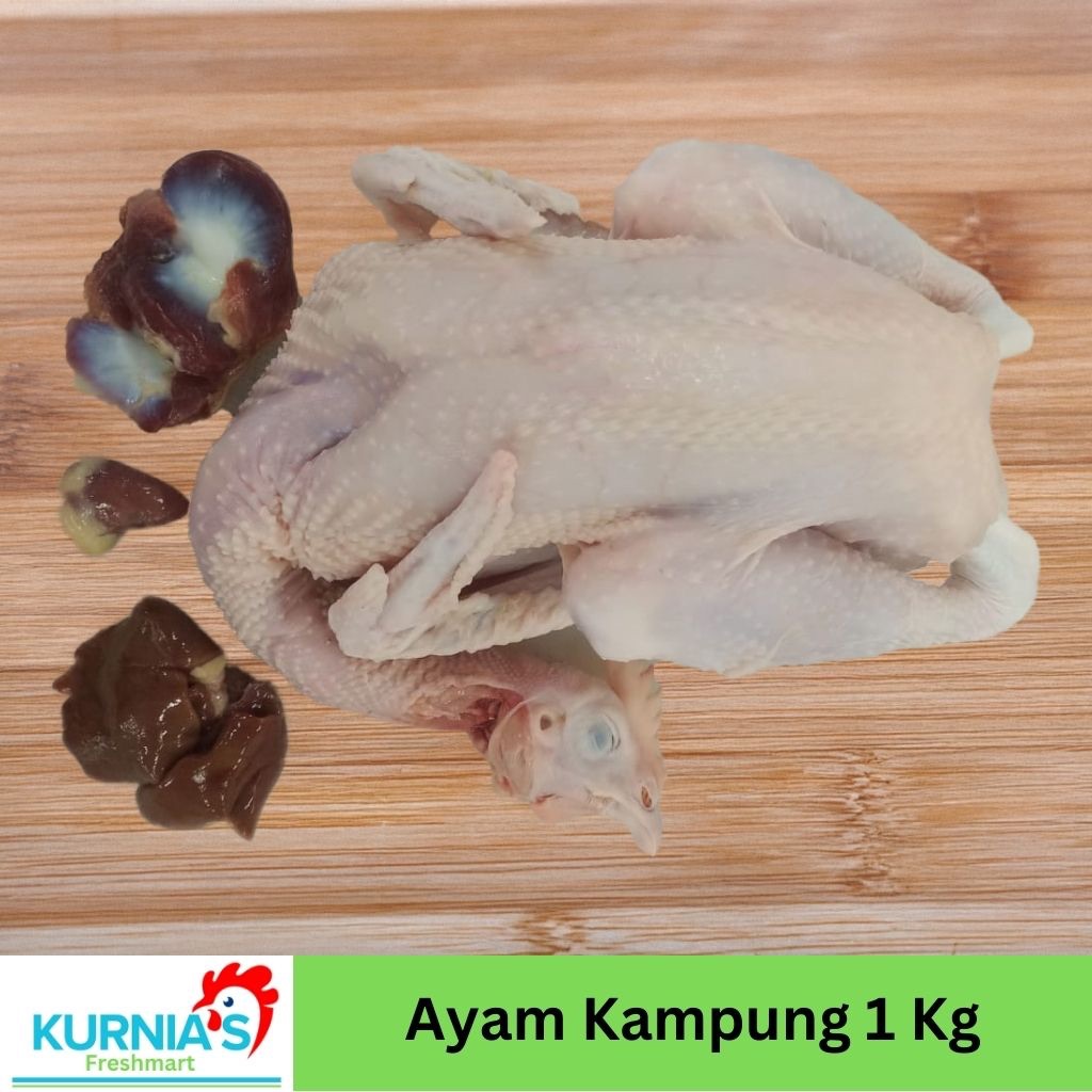 

Ayam Kampung Utuh 0.9 sd 1.1 kg - Daging Ayam Kampung Berkualitas, Halal