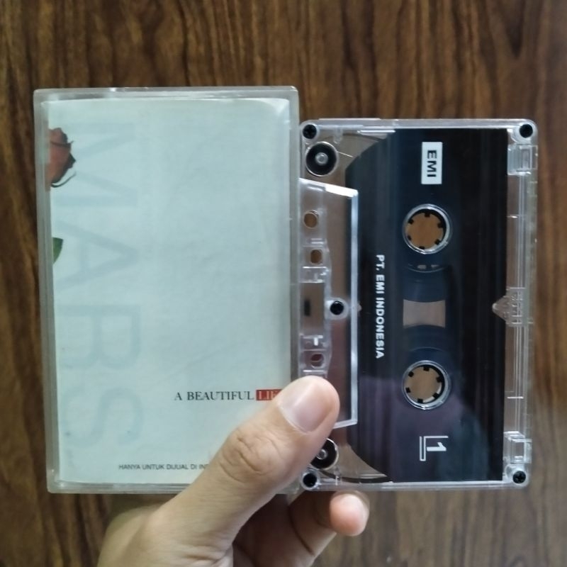 KASET PITA 30 SECONDS TO MARS