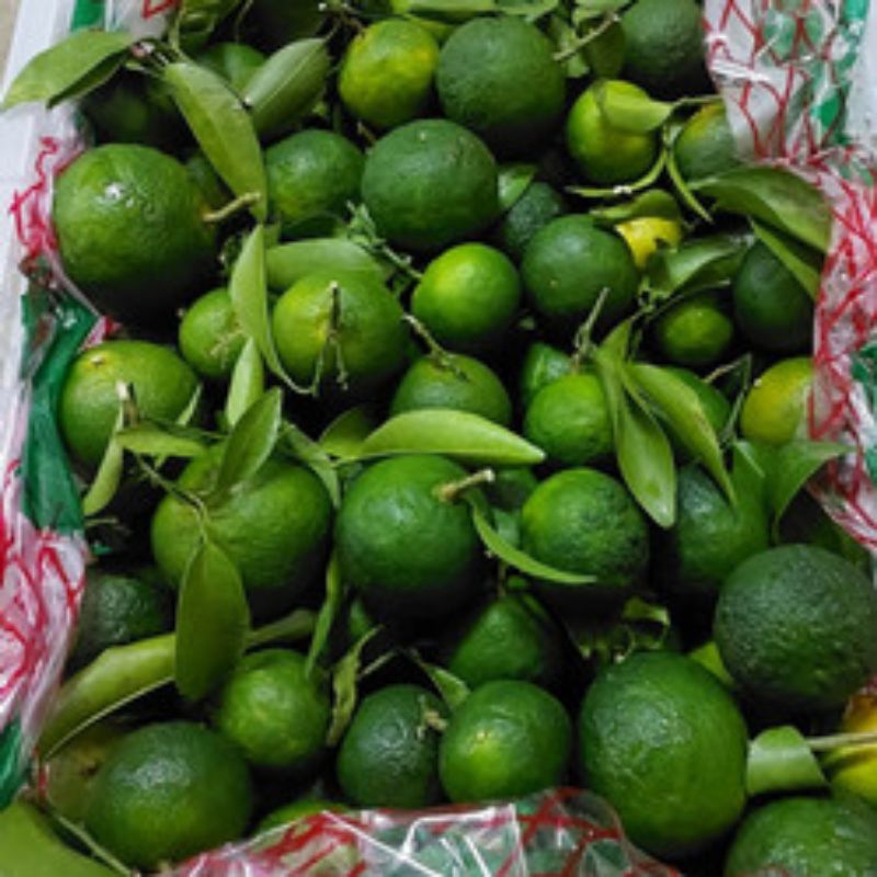 

JERUK SANTANG MADU HIJAU SUPER MANIS PAKE BANGET