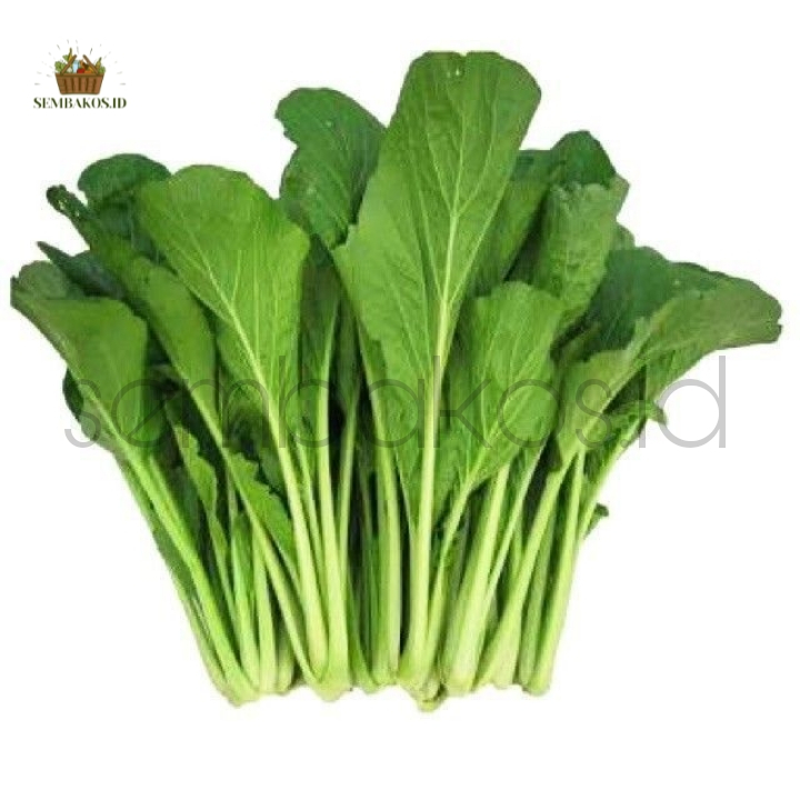 

INSTAN- Sayur Sawi Hijau per ikat kecil