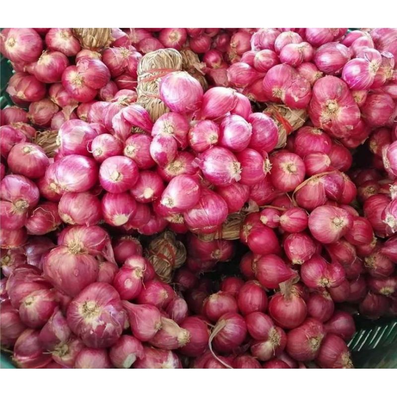 

BAWANG MERAH BESAR KUALITAS SUPER ISI 500GR