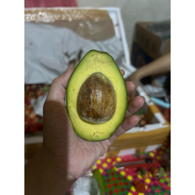 

alpukat mentega muria murah 1kg gurih garansi