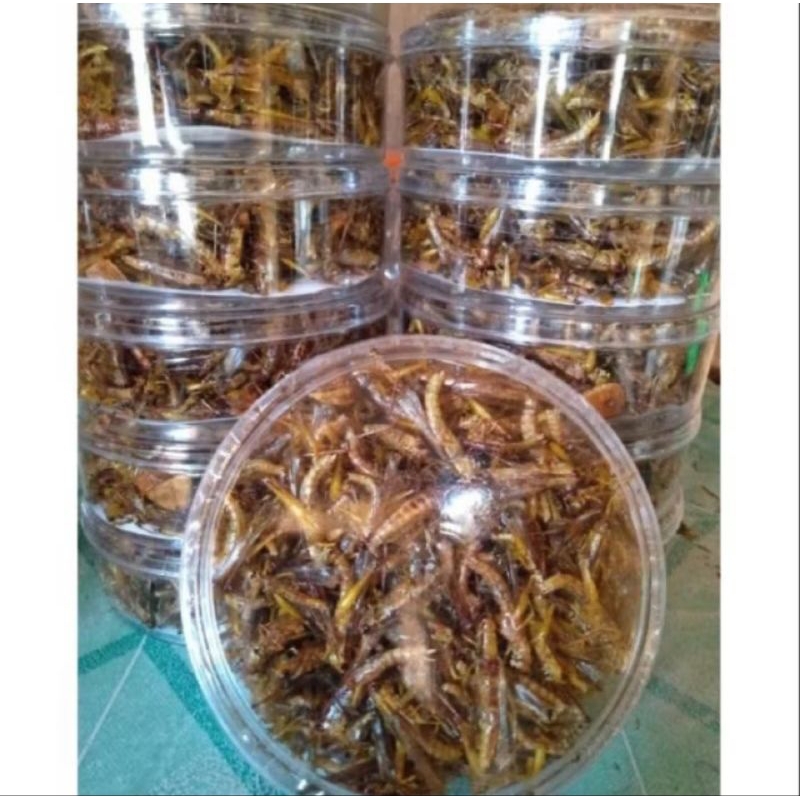 

belalang goreng murah