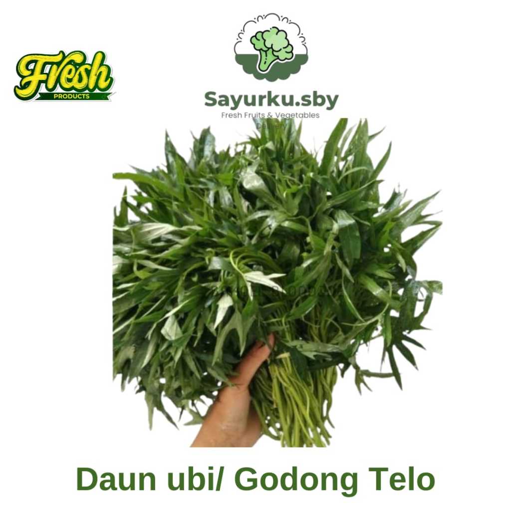 

Sayurku.sby {bisa kirim instan} Daun Ubi/ Godong Telo 1 ikat