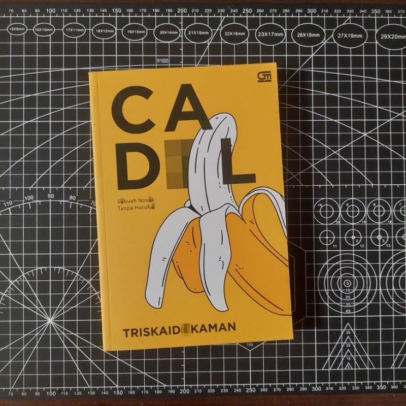 PRELOVED BOOK - Novel Cadl - Triskaidekaman