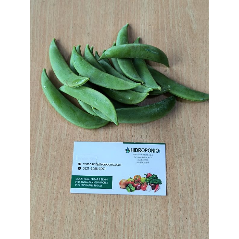 

Kapri Manis Organik 250gr