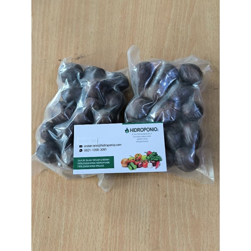 

Biji Pala Organik Fresh 50gr