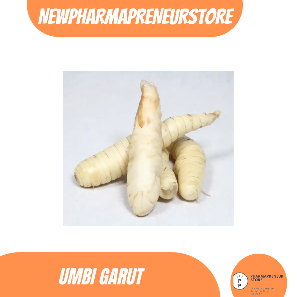 

EKSTRAK UMBI GARUT BEST QUALITY