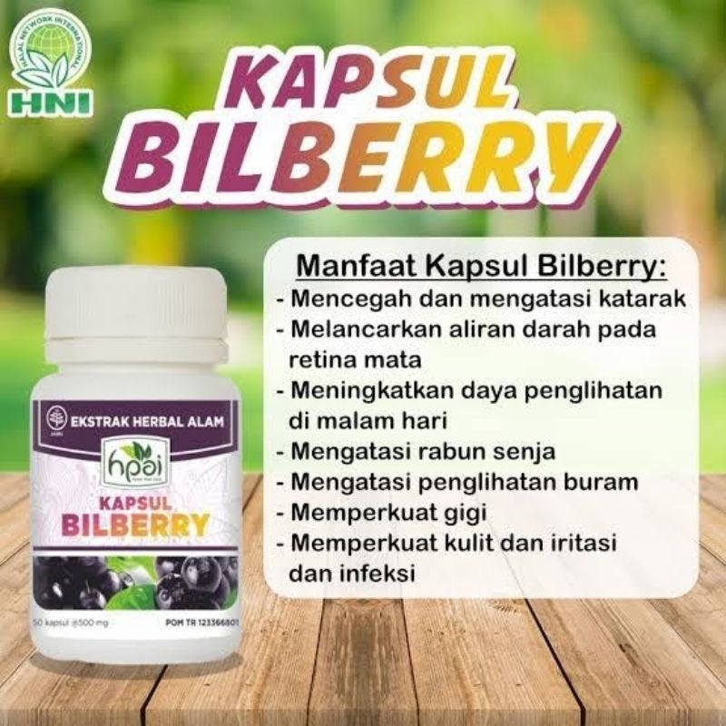 Bilberry HNI HPAI Obat mata Bilberry